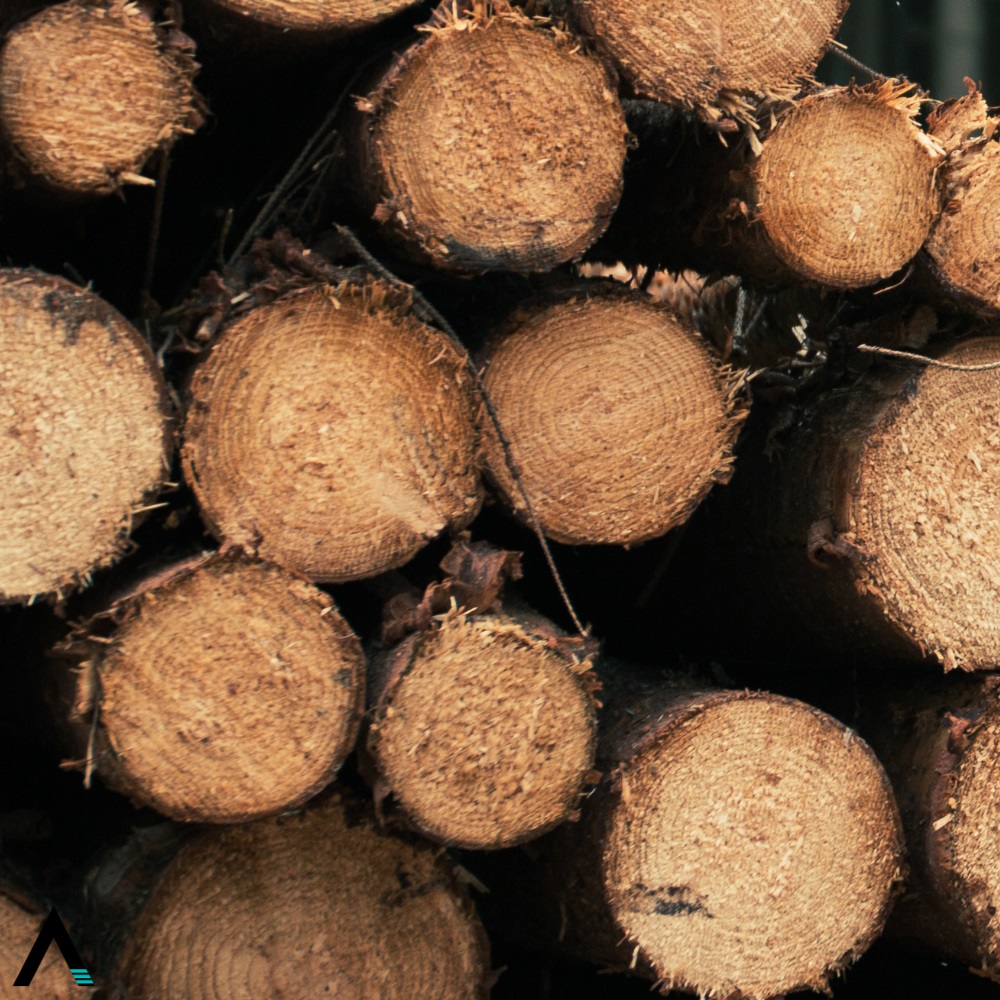 madera